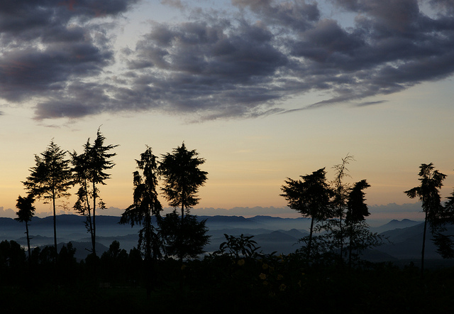 hills in Rwanda